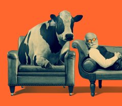 Wageningen W MensDier3.jpg