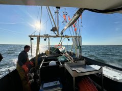 Fisherman Daniel Zoeteweij on his trawler YE152 preparing the gear en route to the Borssele wind farm. Photo: WUR